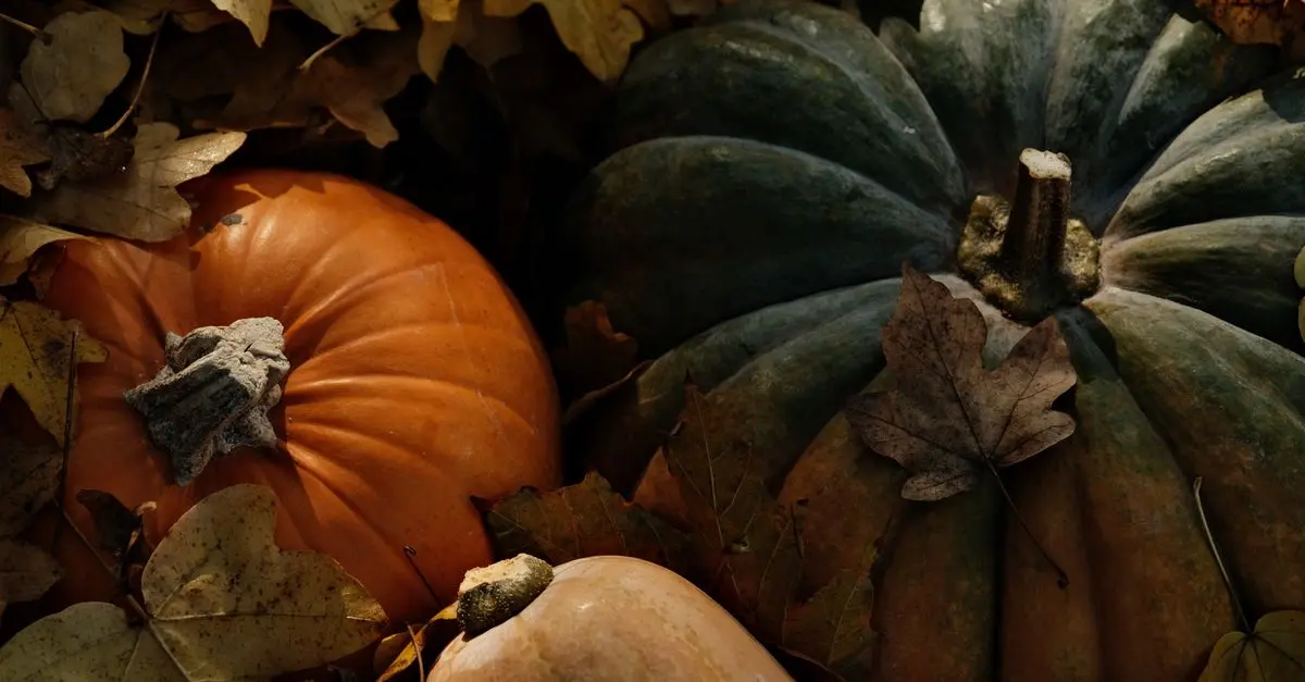 Cómo aprovechar elementos naturales para decorar en Halloween