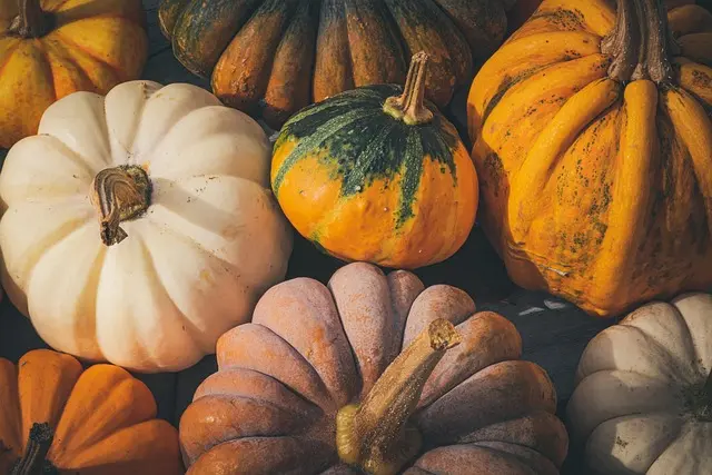 Cómo hacer una decoración encantadora de Halloween en casa