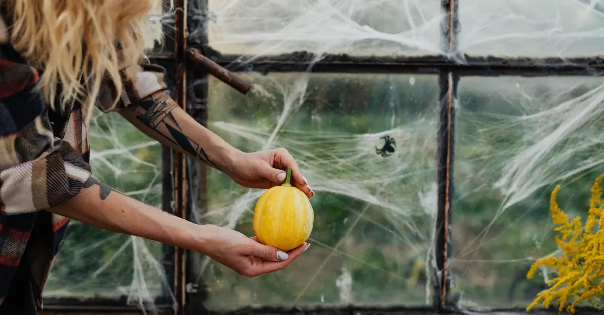 Cómo crear una atmósfera aterradora para Halloween