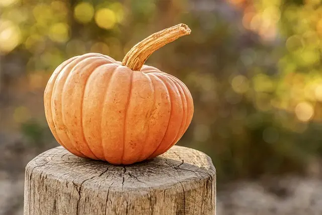 Cómo hacer una decoración encantadora de Halloween en casa
