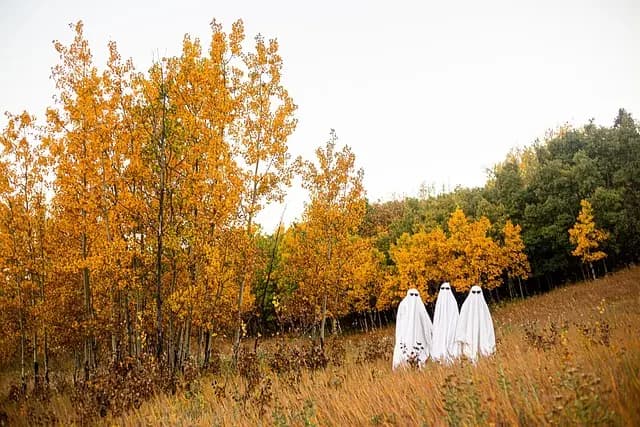 Cómo elegir el disfraz de Halloween perfecto para tus hijos