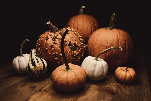 Cómo hacer una decoración de Halloween encantadora en casa
