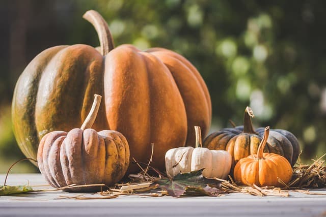 Cómo elegir el disfraz de Halloween perfecto para adultos