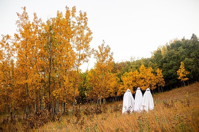 Cómo organizar un concurso de disfraces para Halloween