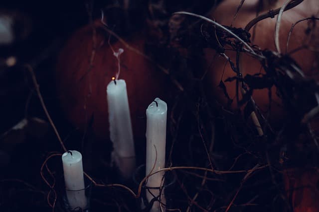 Cómo hacer decoración espeluznante con calaveras para Halloween