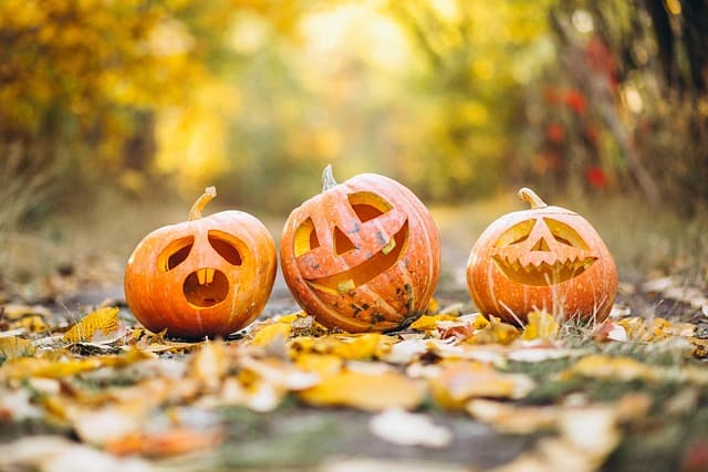 10 manualidades de Halloween que puedes hacer en casa