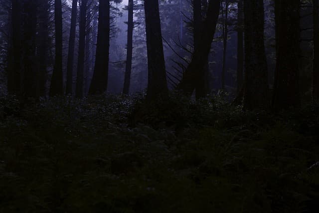 Cómo hacer un disfraz de vampiro impactante para Halloween