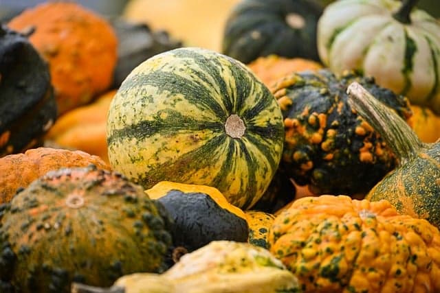 10 manualidades de Halloween que puedes hacer en casa
